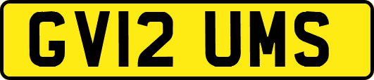GV12UMS