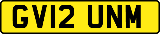 GV12UNM