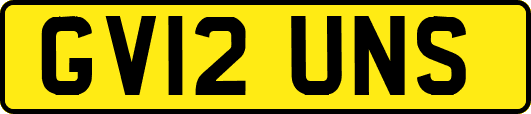 GV12UNS