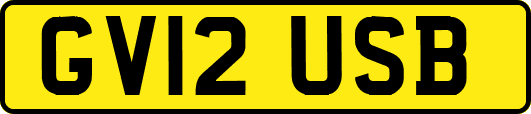 GV12USB