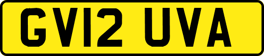 GV12UVA
