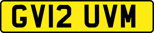 GV12UVM