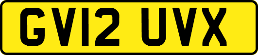 GV12UVX