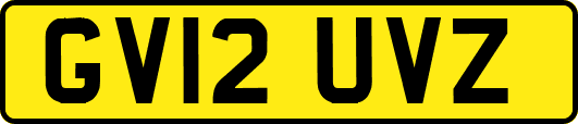 GV12UVZ