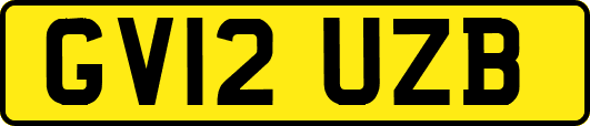 GV12UZB