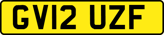 GV12UZF