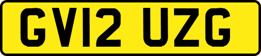 GV12UZG