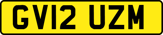 GV12UZM