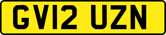 GV12UZN