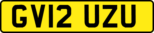 GV12UZU