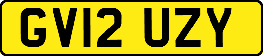 GV12UZY