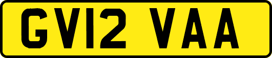 GV12VAA
