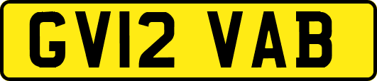 GV12VAB