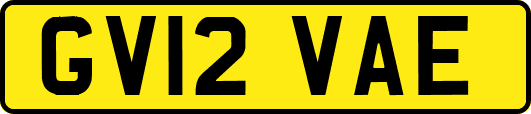 GV12VAE