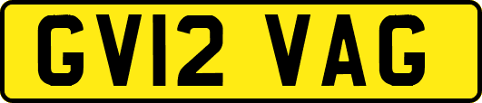 GV12VAG