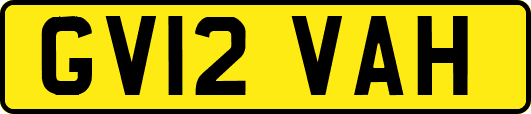 GV12VAH