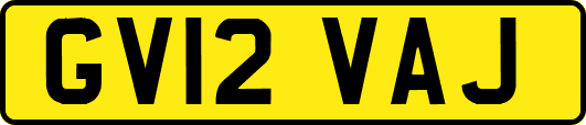 GV12VAJ