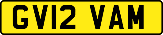 GV12VAM