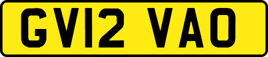 GV12VAO