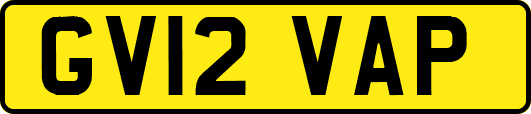 GV12VAP