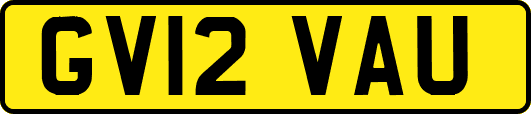 GV12VAU