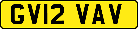 GV12VAV