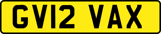 GV12VAX
