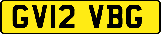 GV12VBG