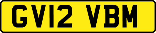 GV12VBM