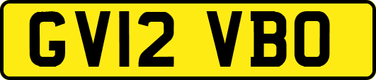 GV12VBO