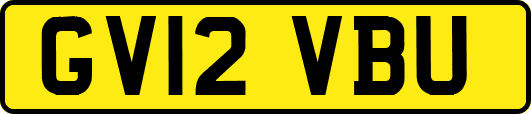 GV12VBU
