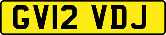 GV12VDJ