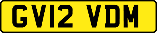 GV12VDM