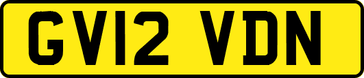 GV12VDN