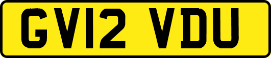GV12VDU