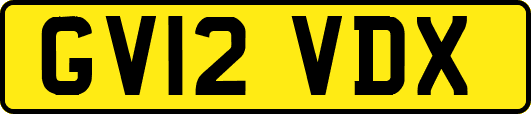 GV12VDX