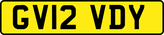 GV12VDY