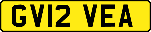 GV12VEA