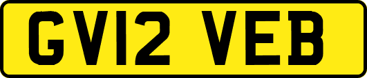 GV12VEB