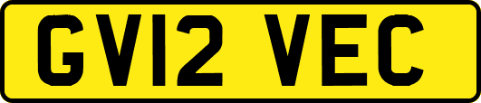 GV12VEC