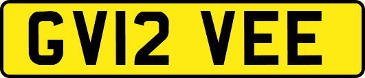 GV12VEE