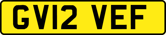 GV12VEF