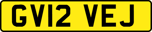 GV12VEJ