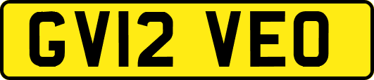 GV12VEO