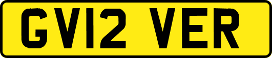 GV12VER