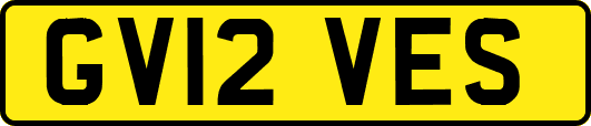 GV12VES