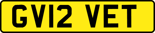 GV12VET