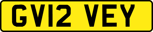 GV12VEY