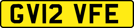 GV12VFE