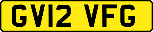 GV12VFG